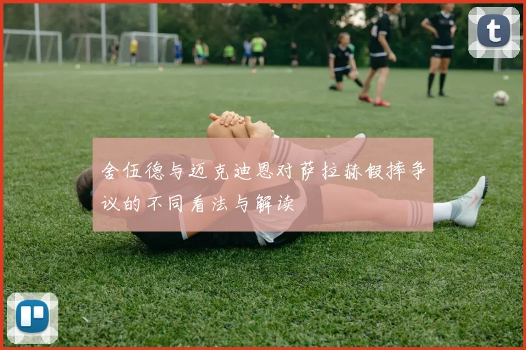 舍伍德与迈克迪恩对萨拉赫假摔争议的不同看法与解读